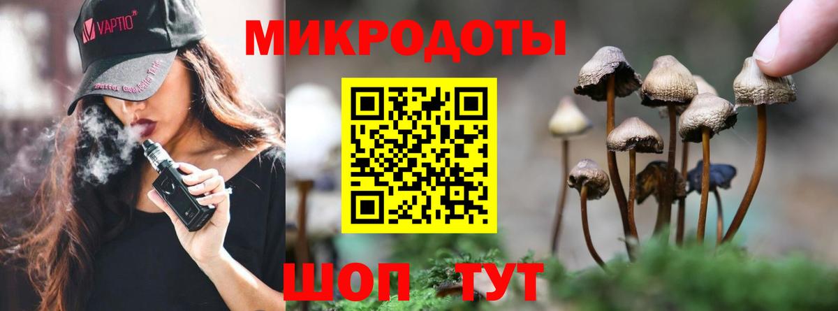 Галлюциногенные грибы Magic Shrooms Тольятти